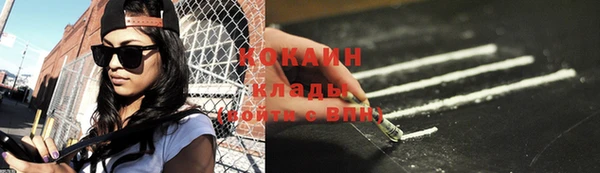 шишки Волоколамск
