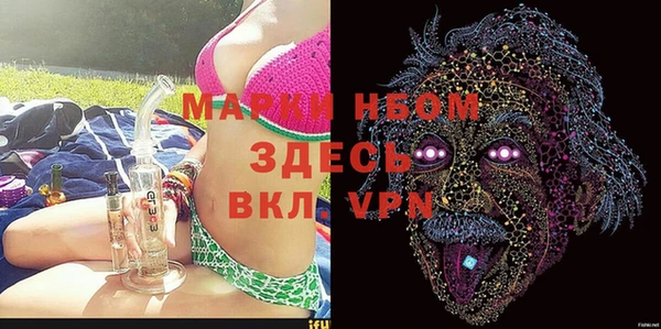 шишки Верея