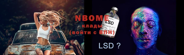 шишки Верея