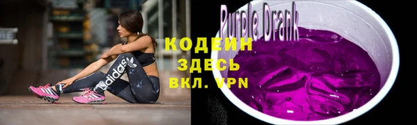 шишки Верея