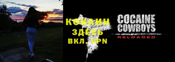 шишки Волоколамск