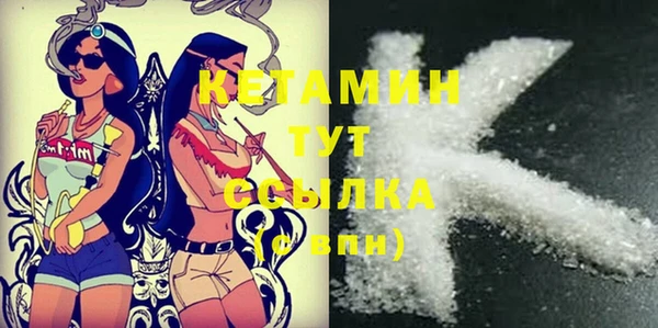 шишки Верея