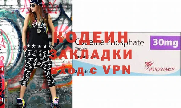шишки Верея