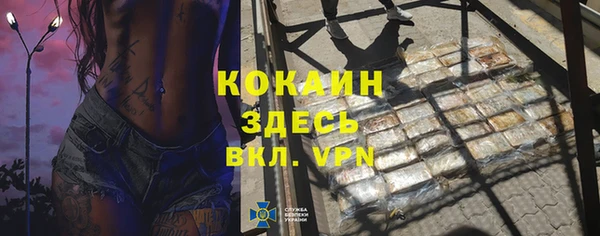 шишки Верея