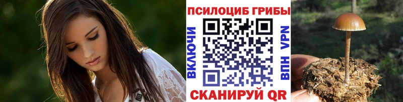 Купить закладки  Новоуральск  Галлюциногенные грибы ЛСД 